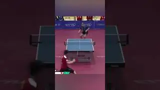 Amazing rally! 🤩 #tabletennis #pingpong #sports #badmintonlovers #tennis #shorts