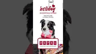 Join PetFoodExpress Holiday Shopping Spree #PetFoodExpress #HolidayShopping #GiftOfGiving #Ad