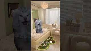 #pov #ramadan #puasa #kucing #4u #cat #kucinglucu #funny #lucu #catlover #memes #fypyoutube #fypage