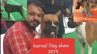 karnal Dog show (2019)