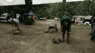 Kryptek Train To Hunt Challenge Final