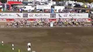 SMXON - Schwedt (GER) 11.10.2015 Race2 Group B+C Racestart