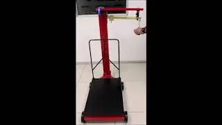 Micro SP902 Mechanical Steelyard Platform Scale