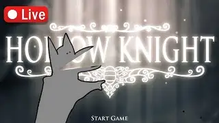 I have never played Hollow Knight before