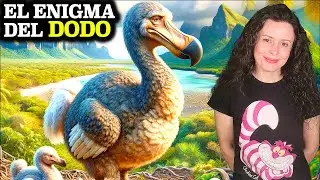&iquest;Por qu&eacute; se extingui&oacute; realmente? La LEYENDA NEGRA del DODO