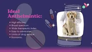 VET PHARMA 2 | Anthelmintics | (3DVM- B) 2023