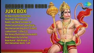 हनुमान अमृतवाणी 🎶 | Hari Om Sharan Songs | He Bajrang Bali Hanuman | Hey Dukh Bhanjan Lofi