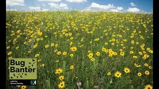 Season 2; Episode 10: Stories from the Prairie: Life in a Resilient Ecosystem