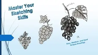 Sketching Grapes | Easy Medium Hard | #grapes | Sketch & Draw