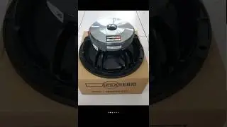 Speaker B&C 10FW64 / B&C 10 inc 500 watt