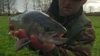 Spartic trout, szczupak i przegrana walka
