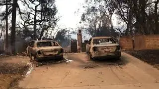 A few hours after Eaton Fire, Altadena (Jan. 8, 2025)
