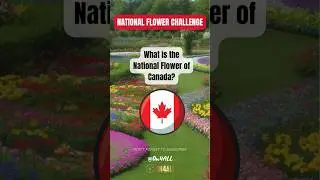 National Flower Challenge: Can You Guess Canada's Emblem? Quiz Answer Inside! #shorts #quiz #viral