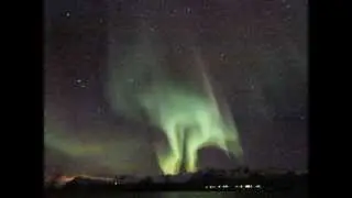 Aurora beast
