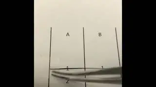 Cutsheet Technique for Animal Hair&Whisker Sample - Stable Isotope Analysis
