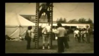 carrying a horse up a ladder