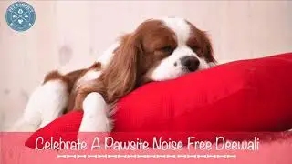Calm Your Pets This Diwali | 30min of music to calm your pets during Diwali from firecracker noises