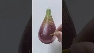 Fig in Coloured Pencil. Full tutorial available on my channel now. #colouredpencil #art #drawing