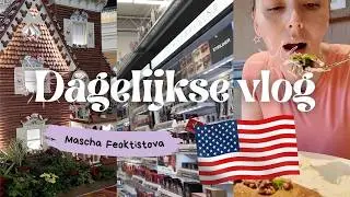 Shoppen bij Walmart, Disney’s Epcot, Grand Floridian Kerst Gingerbread House | Vloggloss 3614