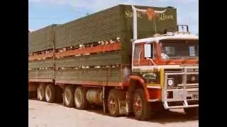 Old Livestock Trucks New Zealand