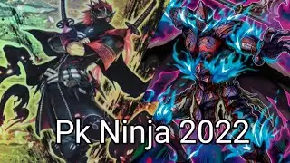 Ninja/phantom knights 2022- post darkwing blast