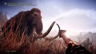 Far Cry&reg; Primal  bad colors