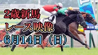 2020  新馬戦 6月14日