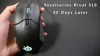 Update: Steelseries Rival 310 - 30 Days later!
