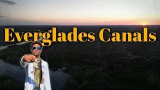 Exploring Florida Everglades Canals | Peacock & Largemouth Bass