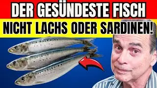 Senioren: Dieser Fisch enthält doppelt so viel Omega-3 wie Lachs und kostet nur die Hälfte!
