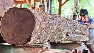 🌲ПРОЦЕСС РАСКОЛЫВАНИЯ СТАРОГО ТИКОВОГО ДЕРЕВА: ЕГО СОДЕРЖИМОЕ ВАС ПОРАЗИТ🌲