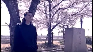 Theo Haze (テオヘイズ) - 桜花 (sakurabana) 013