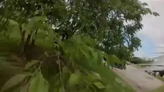 Xhover Win3 maiden