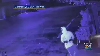 Wig Shop Out Of $80K In Merchandise After Hair Heist