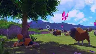 New Pok&eacute;mon Snap - 