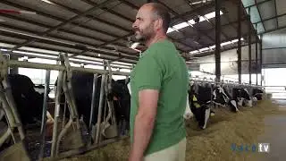 Reba&ntilde;o monitorizado con SenseHub&reg; de MSD Animal Health en Ni&ntilde;o Bonito (Dos Torres, C&oacute;rdoba)