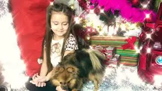 РаСпАкОвКа Игрушек Шимпер и Шайн Полная Версия Ева БонБон И Шпиц Булька