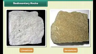 Rocks and Mines | Class 5th EM Science | Exploring Earth's Treasures