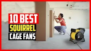 ✅Top 10 Best Squirrel Cage Fans Reviews in 2025