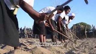 Sebenzisa Izandla  - Amalima in Tsholotsho