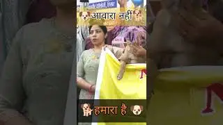 🐕 Street Dogs Par Supreme Court Ka Bada Faisla | Big Decision 🇮🇳#StreetDogs#SupremeCourt#vanshok