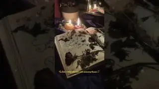 POV: Girls & their obsession with reserving flowers&hellip;🥀🍂 #girlhood  #driedflowers #satisfying #fy