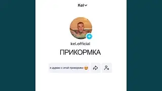 Прикормка