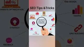 SEO Basics Explained | Complete Search Engine Optimization Guide #websiteranking #digitalmarketing