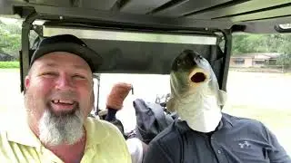 The Adventures of Fish & Pirate Golfing ~ Game On!