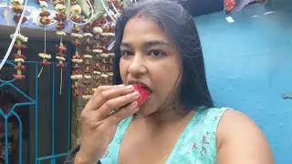 Points Less Vlog 😅|Lipikas Vlogs||Hindi Vlog|🧿