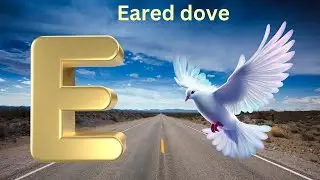 Birds Alphabet Song for Kids | Birds ABC Song | Phonics for Kids | Baby | Alphabet Letters