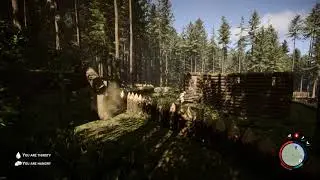 Sons of the Forest bug