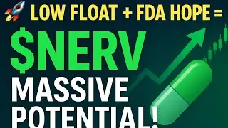 🔥 $NERV в огне: может ли финансирование Minerva спровоцировать следующий прорыв в области биотехн...