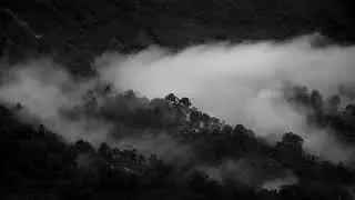 1 Hour Howling Wind Sounds | Dark Forest And Fog Mountain | Music For Sleep And Relaxation